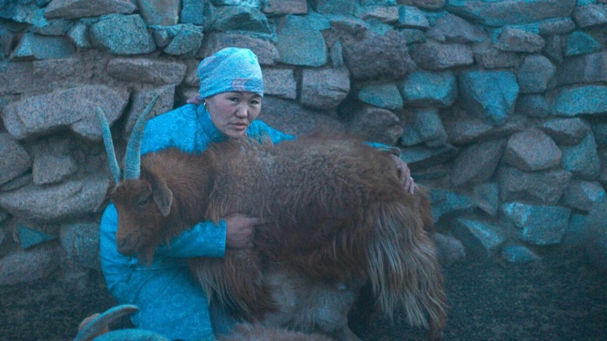 âDiving Into the Mess and Chaos of Cinema Doesnât Have to Exist Apart from Care and Ethicsâ: Gabrielle Brady on The Wolves Always Come at Night